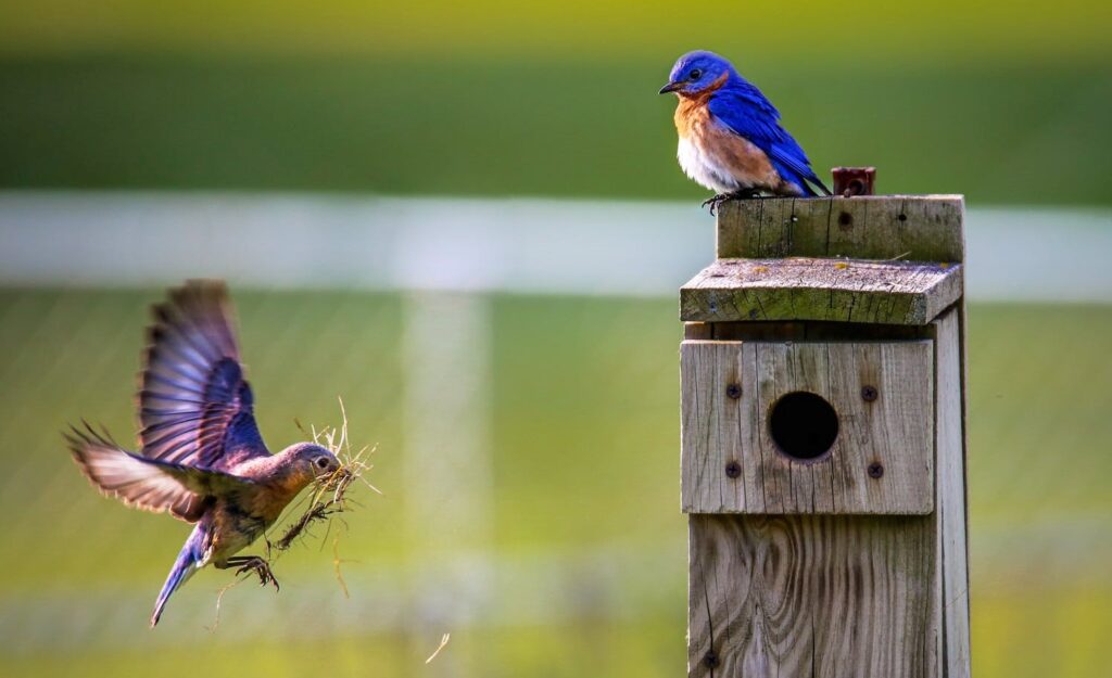 オステオサプリメントlife やわらかく内なる命を燃やす オステオカルシン研究所